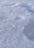 20230119_105825 (Large).jpg (252057 bytes)